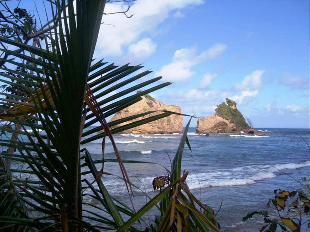 Calibishie Sandbar Rum bild